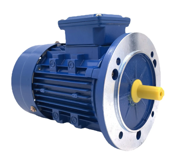 Marine Brake Motor